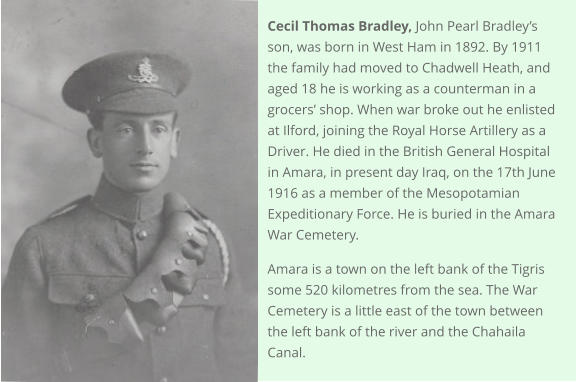Cecil Thomas Bradley, John Pearl Bradley’s son, was born in West Ham in 1892. By 1911 the family had moved to Chadwell Heath, and aged 18 he is working as a counterman in a grocers’ shop. When war broke out he enlisted at Ilford, joining the Royal Horse Artillery as a Driver. He died in the British General Hospital in Amara, in present day Iraq, on the 17th June 1916 as a member of the Mesopotamian Expeditionary Force. He is buried in the Amara War Cemetery.  Amara is a town on the left bank of the Tigris some 520 kilometres from the sea. The War Cemetery is a little east of the town between the left bank of the river and the Chahaila Canal.