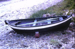 Deerness. On beach at Newark.